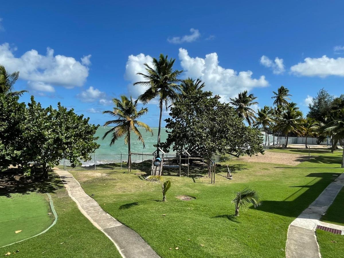 Costa Mar Beach Front Apartment Whith Pool Loiza Екстериор снимка